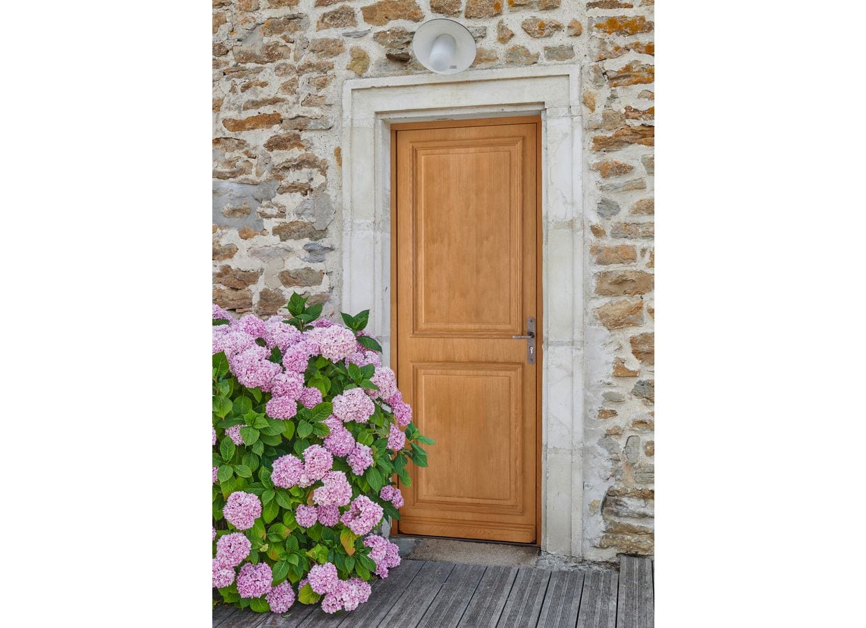 Porte d'entrée ANNAELLE bois exotique sur mesure-Lapeyre