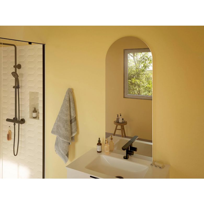 Miroir en arche Fanny inox brossé - Lapeyre