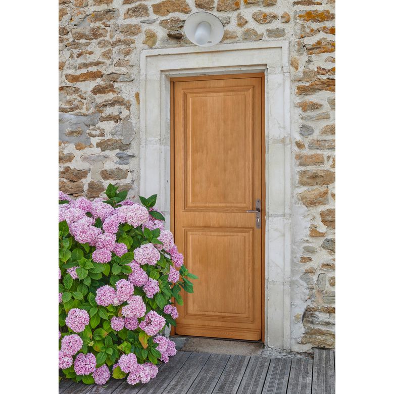 Porte d'entrée ANNAELLE bois exotique sur mesure-Lapeyre